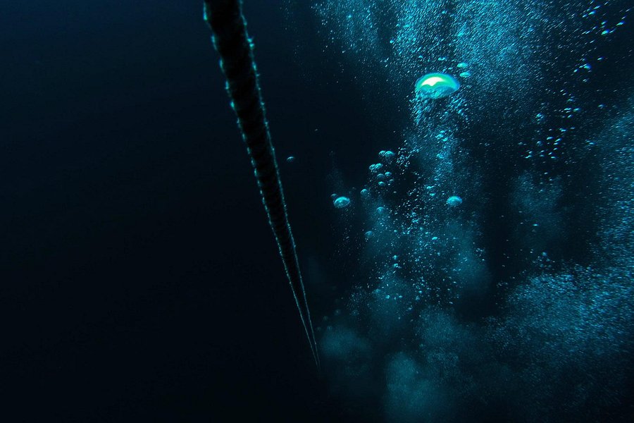 Triton Diving Center Vrsar image