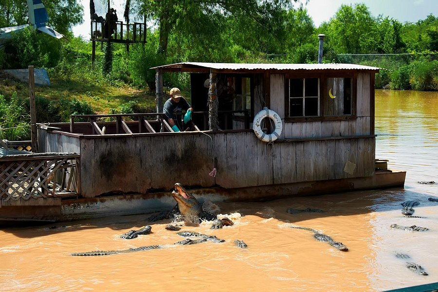 Gator Country Louisiana Alligator Park image