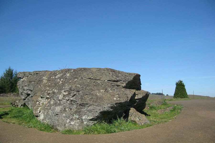 Erratic Rock State Natural Site image