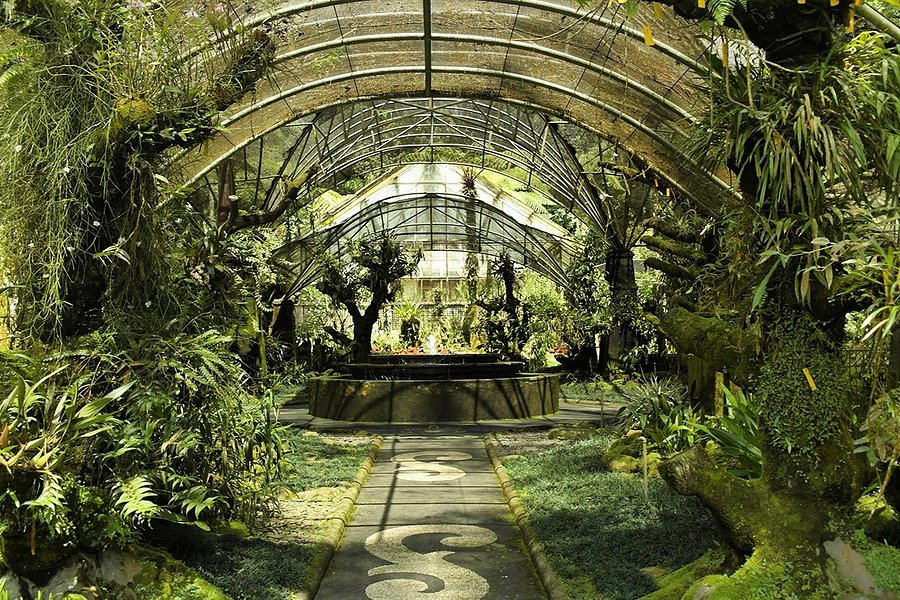 Bali Botanic Garden image