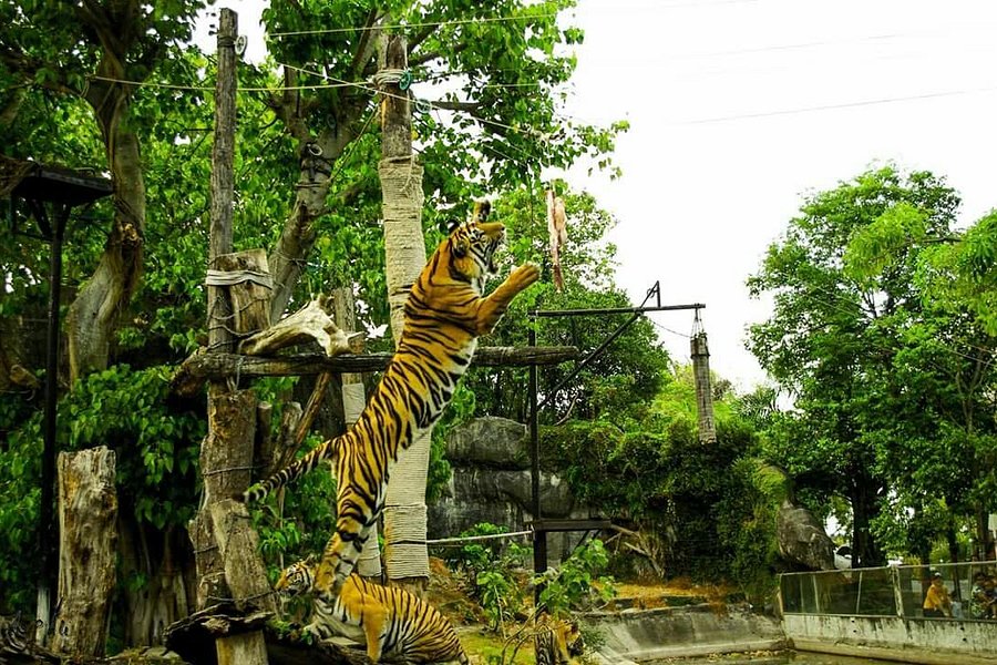 Songkhla Zoo image