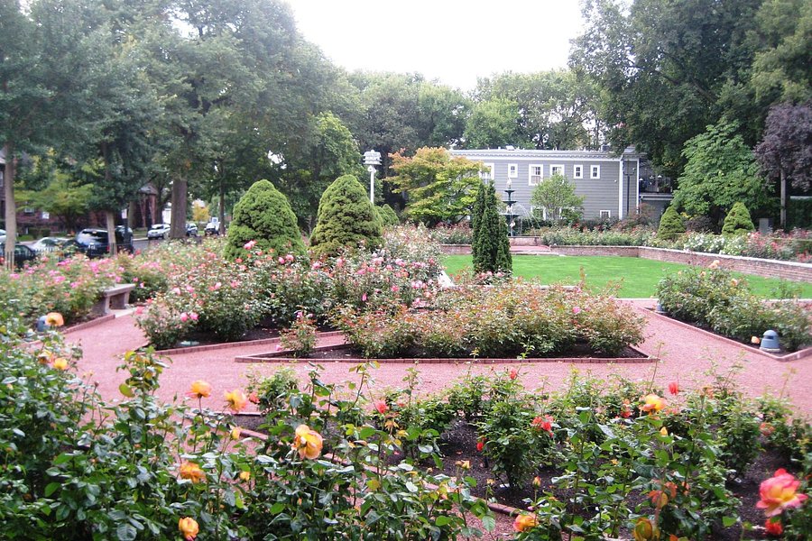 Merrick Rose Garden image