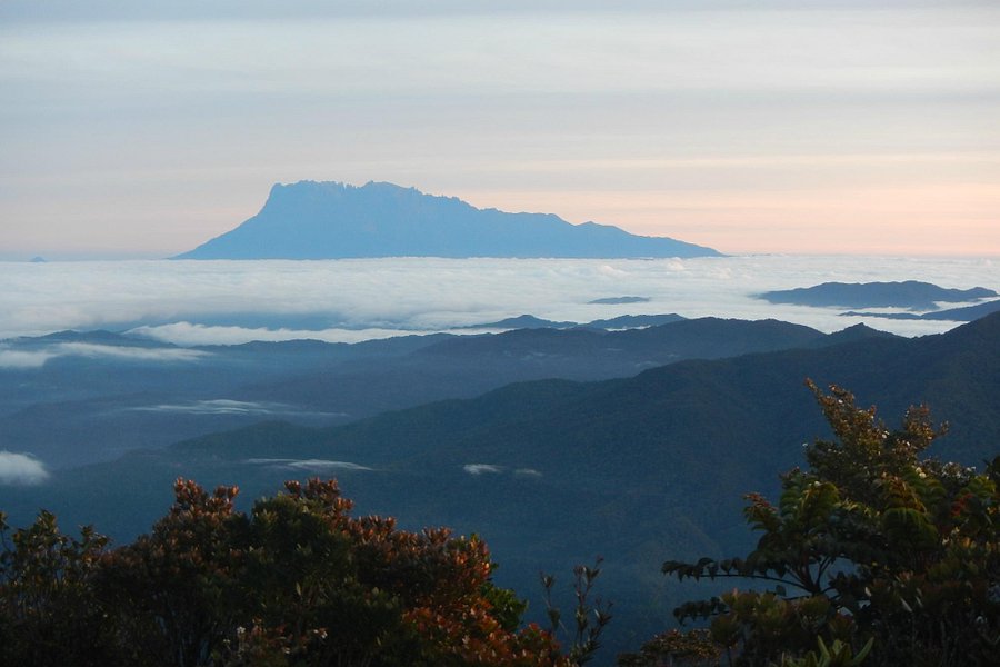 Mt. Trusmadi Apin-apin image
