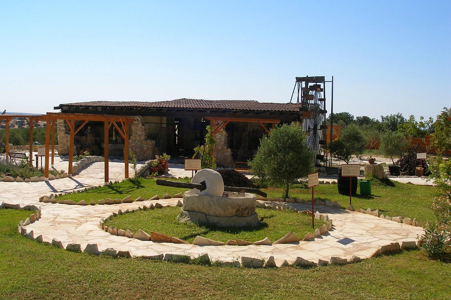 Oleastro Olive Park and Museum image