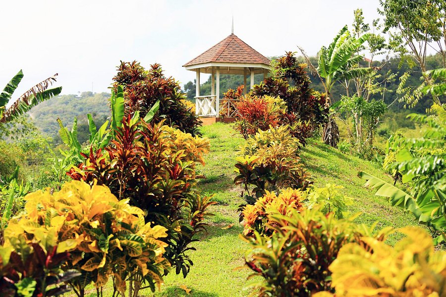 Tobago Cocoa Estate image