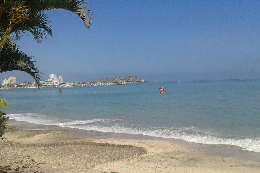 Playa Las Salinas image