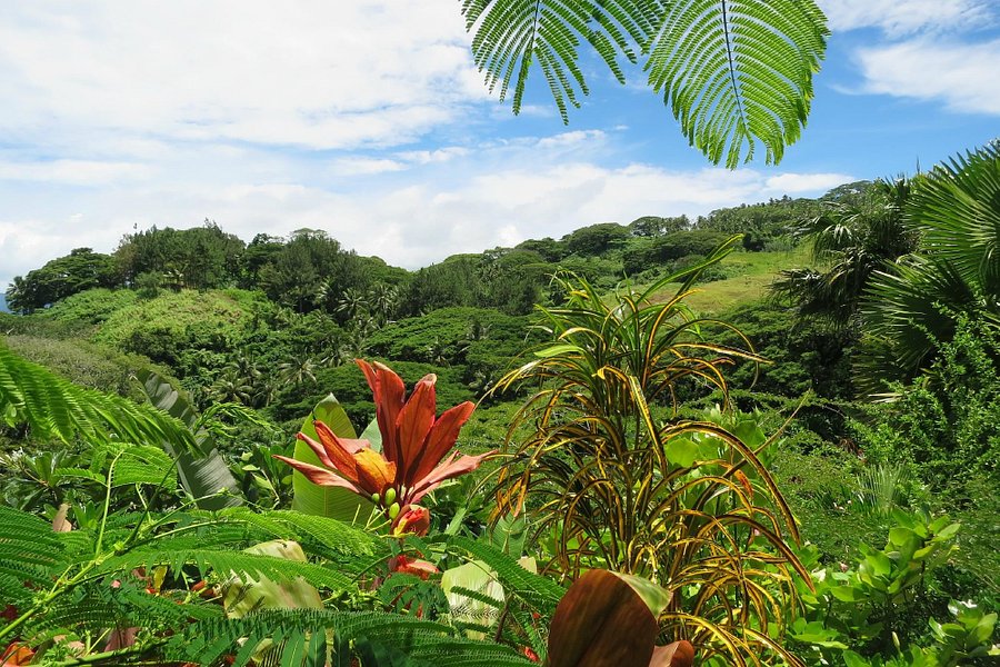 Flora Tropica Gardens image