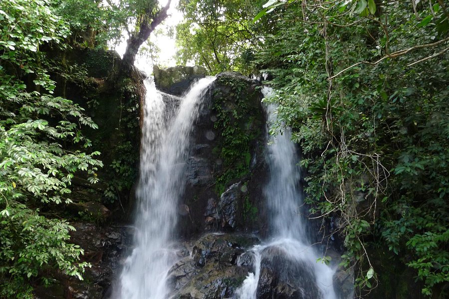 Yayas Falls image