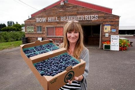 Bow Hill Blueberries image