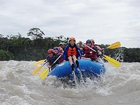 Ara Adventure River Amazonas image