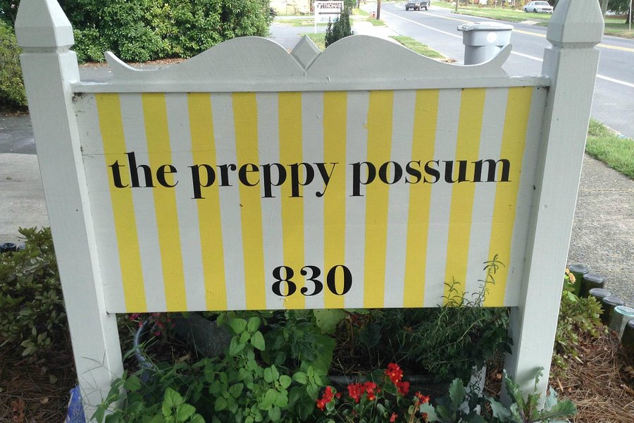 The Preppy Possum image