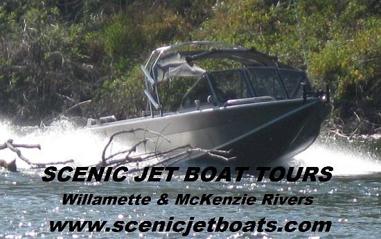 Scenic Jet Boat Tours image