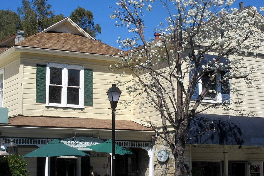 Historic Saratoga Village image