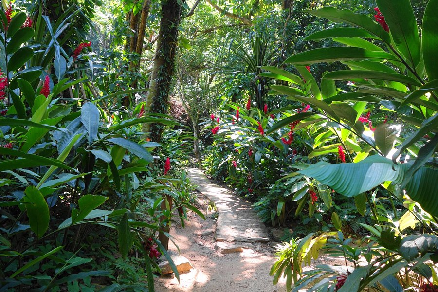 Carambola Botanical Gardens & Trails image