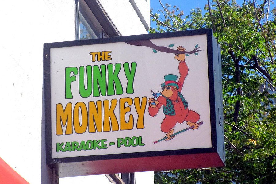 The Funky Monkey image