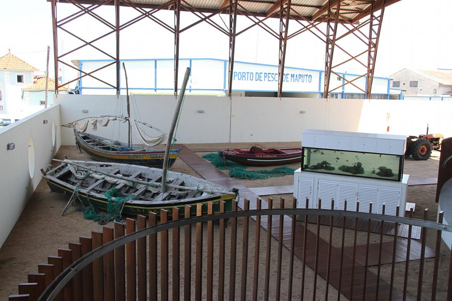 Fisheries Museum (Museu das Pescas) image