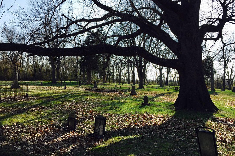 Old Newtonia Civil War Cemetery image