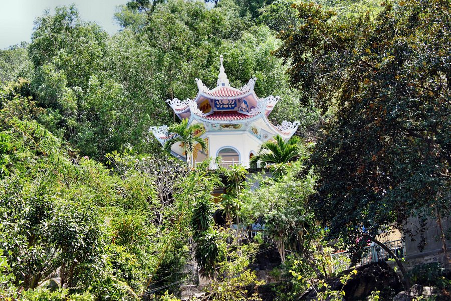 Suoi Do Pagoda image