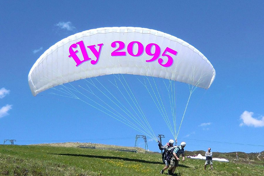 Fly 2095 image