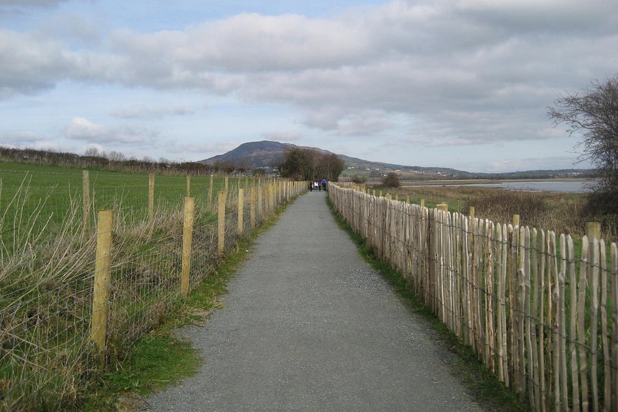 Inch Wildfowl Reserve image