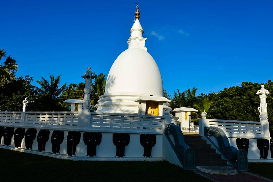 Dambakola Patuna Sangamitta Temple image