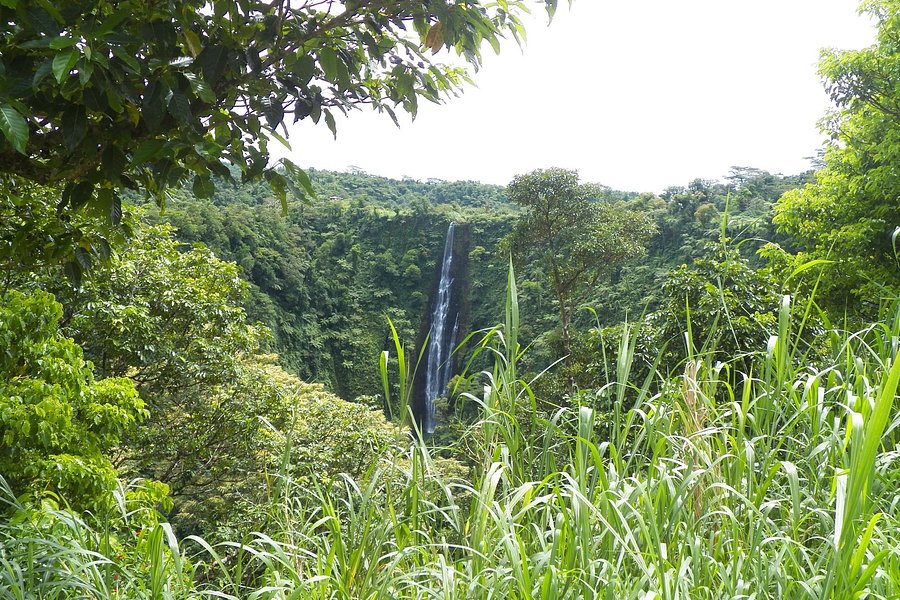 Papapapaitai Falls image