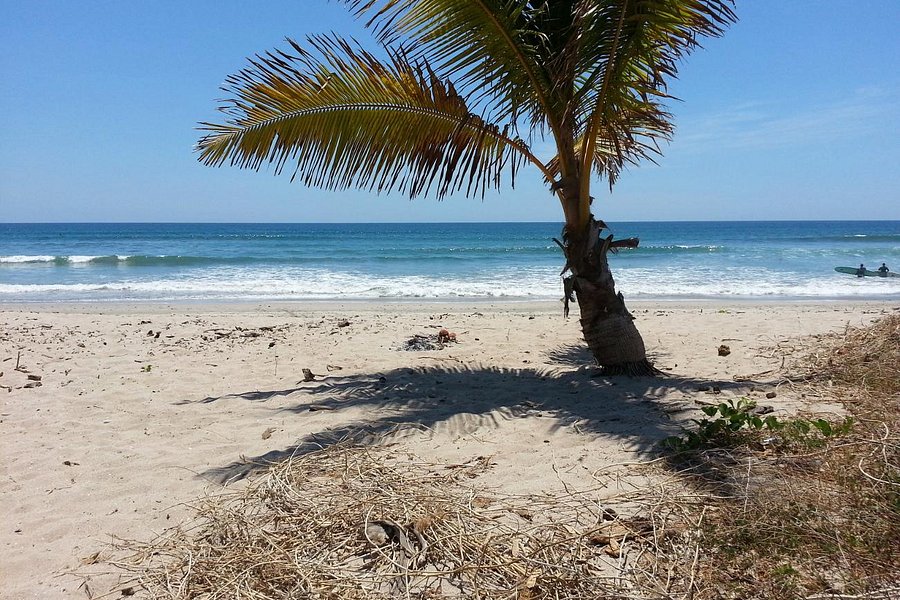 Playa Guiones image