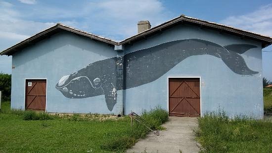 Museu da Baleia de Imbituba image