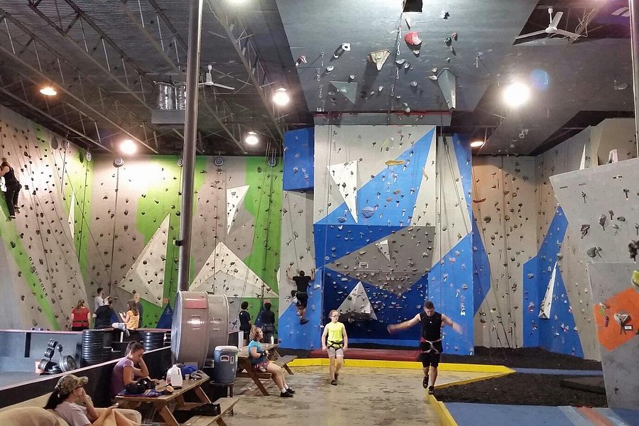Dyno-Rock Indoor Climbing Center image