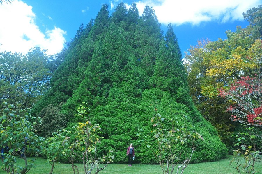 Yengo Sculpture Gardens image