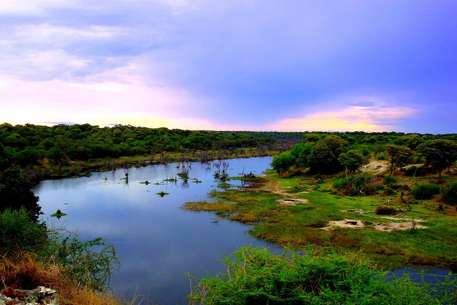 Okavango River image