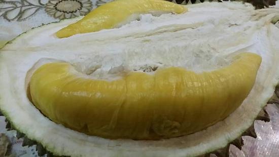 1 Malaysia Musang King Durian Orchard Farm image