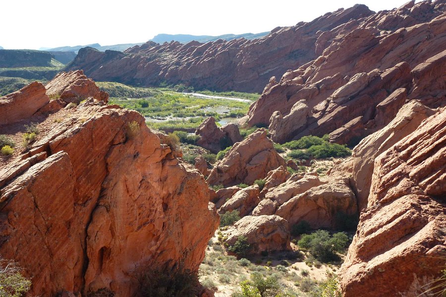 Red Cliffs National Conservation Area image