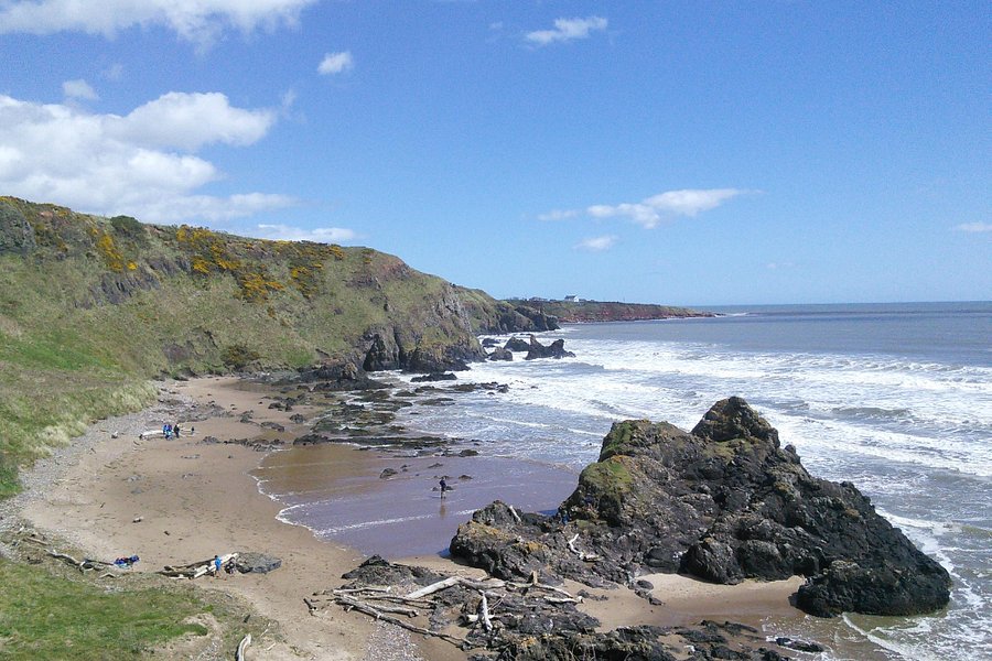 St Cyrus National Nature Reserve image