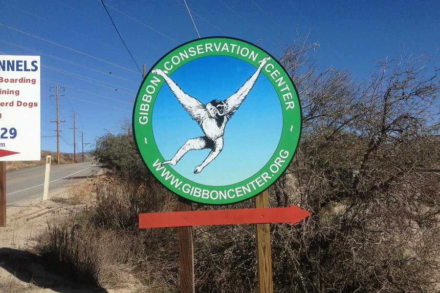 Gibbon Conservation Center image