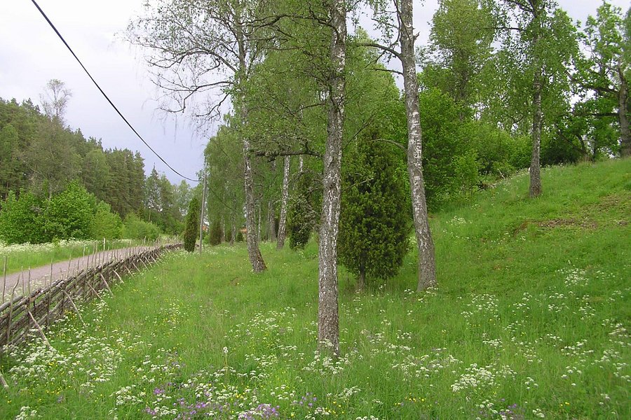 Lundens naturreservat image
