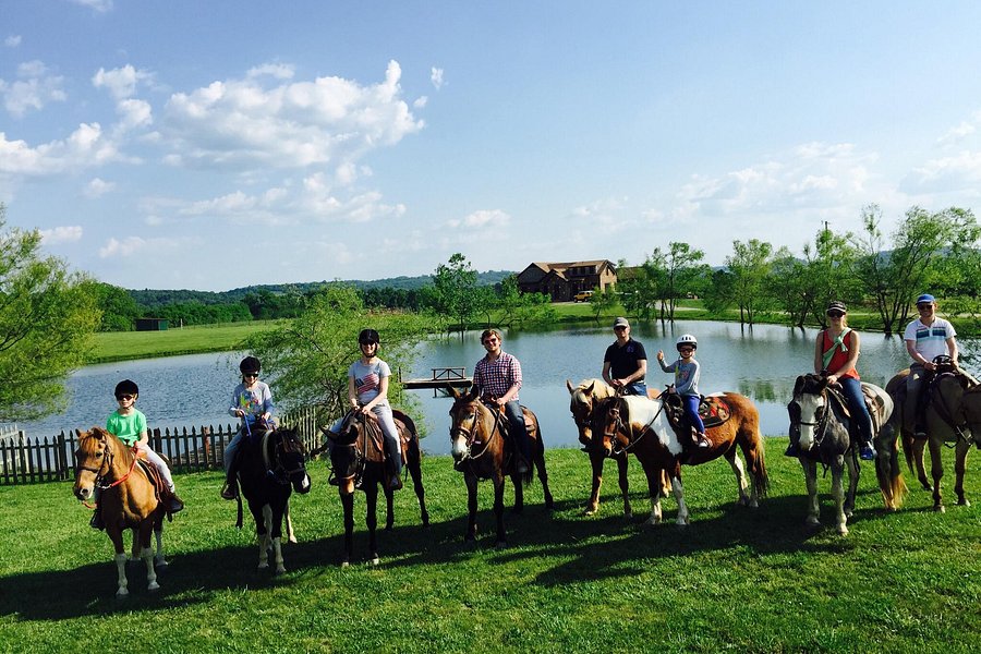Clearview Horse Farm Horseback Riding image