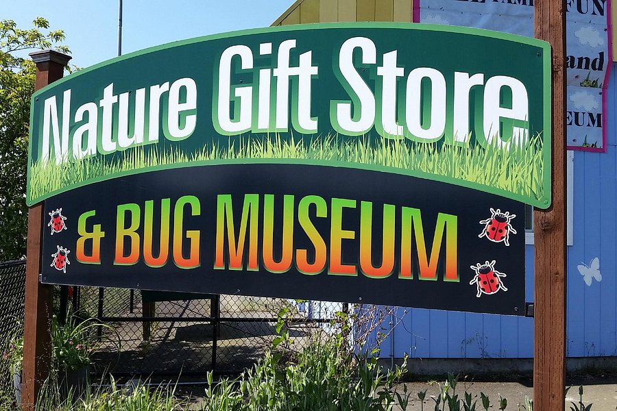 Bremerton Bug Museum image