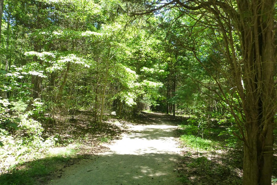 Reedy Creek Nature Center and Preserve image