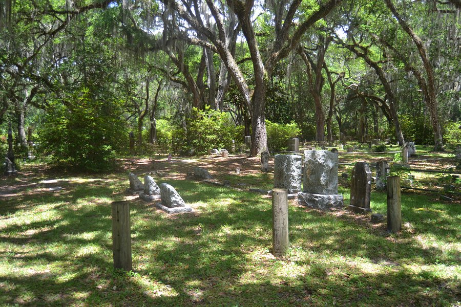 Micanopy Cemetery image