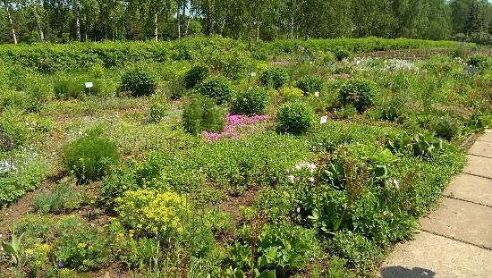 Ufa Botanical Garden image