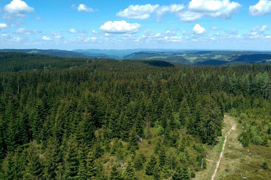 Stoecklewaldturm image