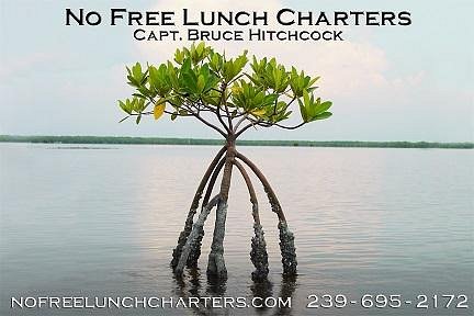 No Free Lunch Fishing Charters image