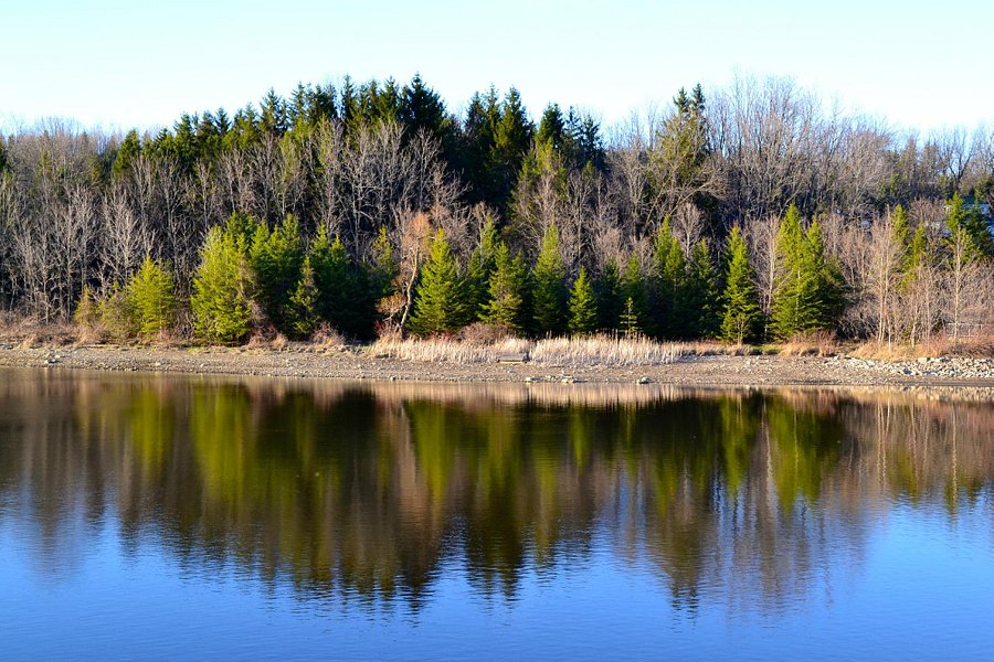 Christie Lake Conservation Area image
