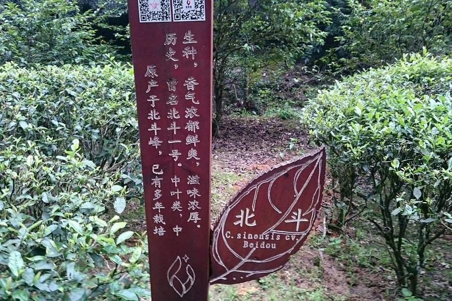 Dongpo Lake Park image