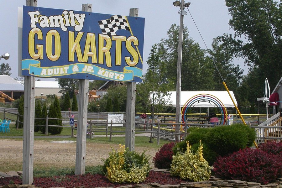 Family Go Karts image