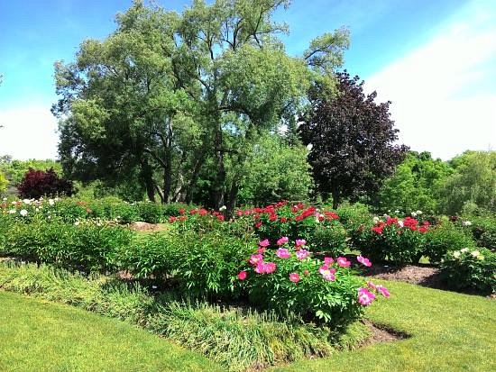 Oshawa Valley Botanical Gardens image