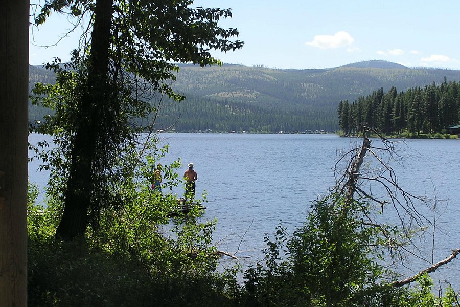 Placid Lake State Park image