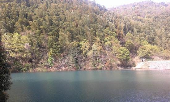 Ningbo Jiulong Lake image