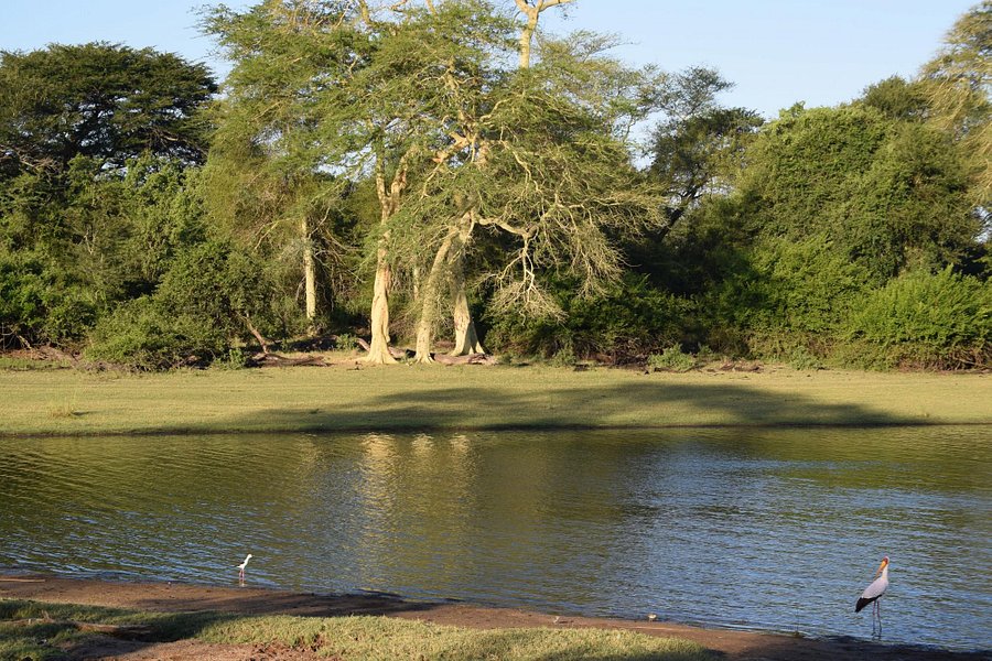 Ndumo Game Reserve image